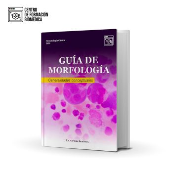 Guía Morfología