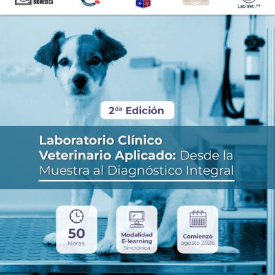 Instagram_Laboratorio Clínico Veterinario Aplicado